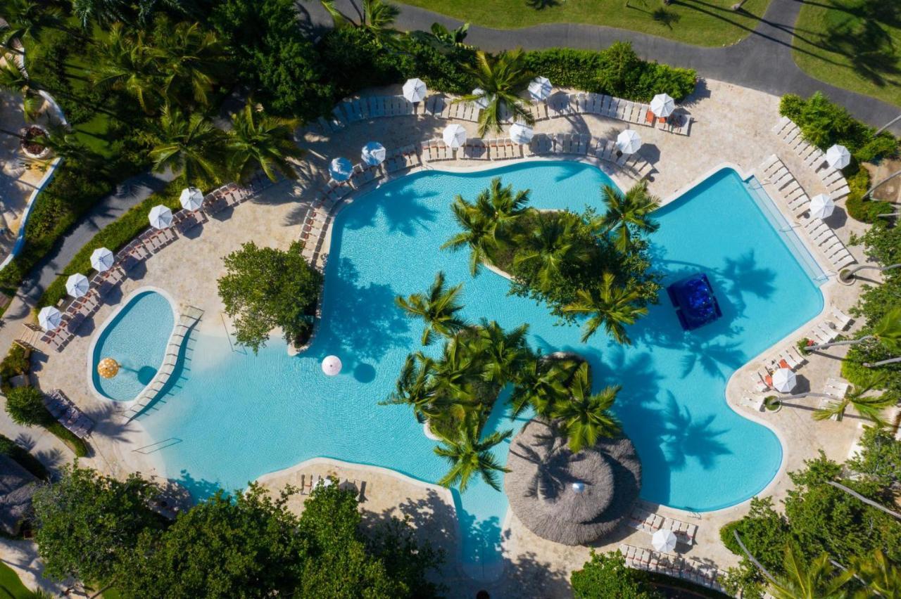 Impressive Punta Cana Hotel Exterior photo The photo shows an aerial view of a swimming pool area surrounded by lush greenery. The pool features a unique, irregular shape with several sections, including a shallow area and a large main pool. There are palm trees and small islands of vegetatio